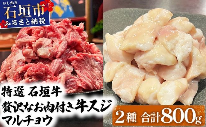 yꌧΊ_szy2025N11ȍ~zIΊ_̋XWƃ}`EƒŁIIXW500g}`E300̃Zbg