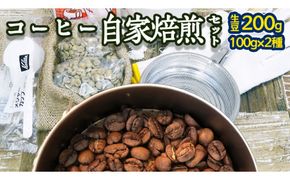 コーヒー 自家焙煎 セット コーヒー豆 200ｇ 2種 × 100ｇ コーヒー ブレンド 生豆 焙煎 初心者 お手軽 ［BN007us］