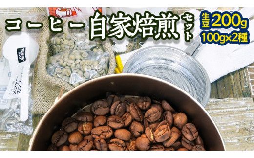 コーヒー 自家焙煎 セット コーヒー豆 200ｇ 2種 × 100ｇ コーヒー ブレンド 生豆 焙煎 初心者 お手軽 ［BN007us］