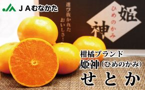 JAむなかた柑橘ブランド「姫神みかん（せとか）」約3kg【JAほたるの里】_HA0680
