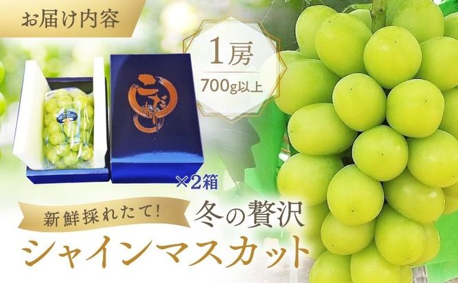 【2026年先行予約】 ぶどう 冬の贅沢 シャインマスカット 2房(1.4kg以上：1房700g以上×2箱）【11月20日から12月12日の期間に発送】 葡萄 ブドウ 岡山県産 フルーツ 果物 数量限定 期間限定 岡山 里庄町 