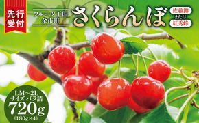 【先行予約：2026年6月下旬頃より発送】令和8年産 さくらんぼ【LM～2Lバラ詰め】180g×4【余市ふるさと納税推進センター】_Y160-0001
