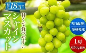 【 先行予約 】 シャインマスカット 1房 650g前後＜出荷時期：2026年10月上旬～10月中旬ごろ＞【 数量限定 期間限定 果物 果物類 フルーツ ぶどう ブドウ 葡萄 マスカット 秋田 にかほ 】