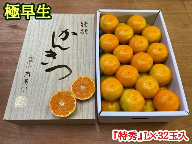 極早生 有田みかん 約4kg 『特秀』Lサイズ32玉入_ZF6000n