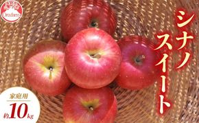 【2026年9月～発送】シナノスイート 家庭用 約10kg りんご リンゴ 林檎 果物 フルーツ 長野県 長野 山ノ内町