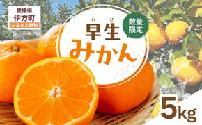 【先行受付】【数量限定】早生みかん（生果）5kg（2026年11月上旬より順次発送）IKTQ005