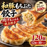 大容量 和豚もちぶた 餃子 120個 (12個×10P)肉汁溢れる 冷凍