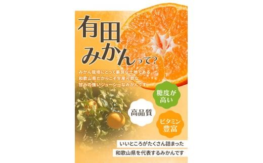 【2024年12月発送予約分】＼光センサー選別／ 【農家直送】【家庭用】こだわりの有田みかん 約5kg＋250g(傷み補償分) 先行予約 有機質肥料100% サイズ混合 【12月発送】みかん ミカン 有田みかん 温州みかん 柑橘 有田 和歌山 ※北海道・沖縄・離島配送不可/みかん ミカン 有田みかん 温州みかん 柑橘 有田 和歌山 産地直送【nuk160-2A】