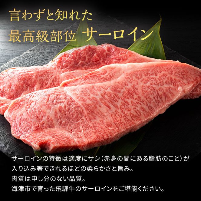 岐阜県産 飛騨牛サーロインステーキ(250g×2枚) 牛肉 500g 