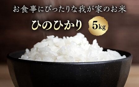 ＼令和6年産新米／糸島産 ひのひかり 5kg 糸島市 / 糸島ファーム青空 [ASM003] 白米 ヒノヒカリ