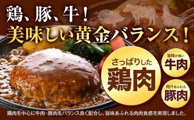 ハンバーグ 大容量！たっぷり 23個 入り 《60日以内に出荷予定(土日祝除く)》冷凍 大容量 23個 あか牛 国産 肉 牛肉 豚肉 鶏肉 クール便 温めるだけ 小分け 簡単 調理 特製 惣菜 デミグラスソース 湯煎 人気 子供 熊本県 玉東町---gkt_fthnbg_60d_24_10000_23k---