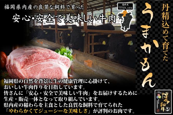 【B-171】博多和牛 モモ焼肉用