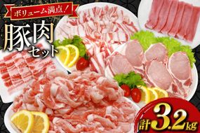 豚肉 宮崎県産豚肉 3.2kg 詰め合わせ セット [TRINITY 宮崎県 日向市 452061328] 小分け 豚 肉 宮崎 ロース スライス 豚バラ とんかつ 切り落とし ミンチ 豚ミンチ ひき肉 真空パック