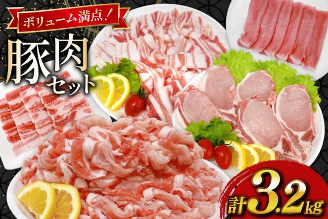 豚肉 宮崎県産豚肉 3.2kg 詰め合わせ セット [TRINITY 宮崎県 日向市 452061328] 小分け 豚 肉 宮崎 ロース スライス 豚バラ とんかつ 切り落とし ミンチ 豚ミンチ ひき肉 真空パック