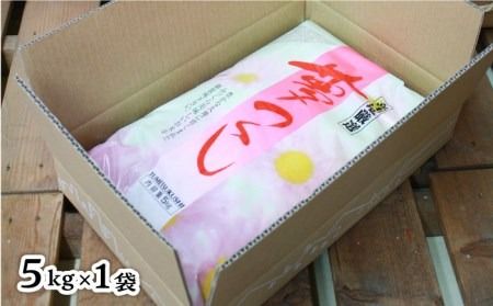 ＼ 令和6年産新米 ／ 糸島産 夢つくし 10kg 糸島市 / 三島商店 [AIM002] 米 白米