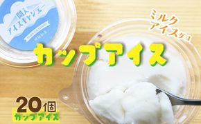 なつかしのカップアイス（ミルク）　あいす アイス みるく 冷菓 間人アイスキャンデー 生産者応援 送料無料　IZ00002