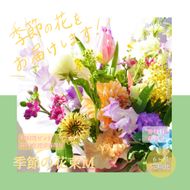 【CF-R7hbk】t155tmf　《6ヵ月定期便》生花花束 ブーケ 初回花瓶付M 定期便 定期コース 全6回 初回花瓶付き 延命剤付き 花びん 生花 花束 ブーケ 花 お花 おすすめ 可愛い キレイ おしゃれ 季節のお花 供花 お供え
