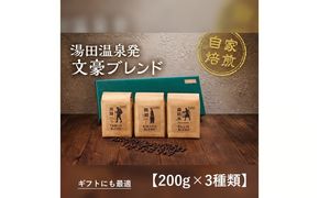 D516 文豪コーヒー豆セット