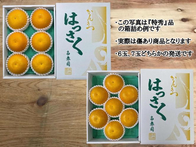 ちょっと 傷あり 4月 まで 木成 完熟 させた 有田 はっさく 大玉 3L × 6玉 または 2L × 7玉 化粧箱 南泰園 みかん 	BS761
