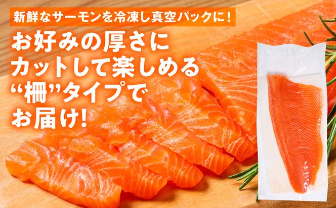 八代 教室育ちサーモン フィレ300g以上 サーモン 刺身 鮭 生食 魚 冷凍 海鮮 さけ サケ シャケ 熊本県 八代市