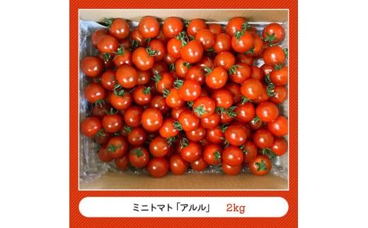 宮崎県産完熟ミニトマト「アルル」2kg 【 新鮮 アルル ミニトマト とまと 野菜 産地直送 宮崎県産川南町産 送料無料 】[D11802]