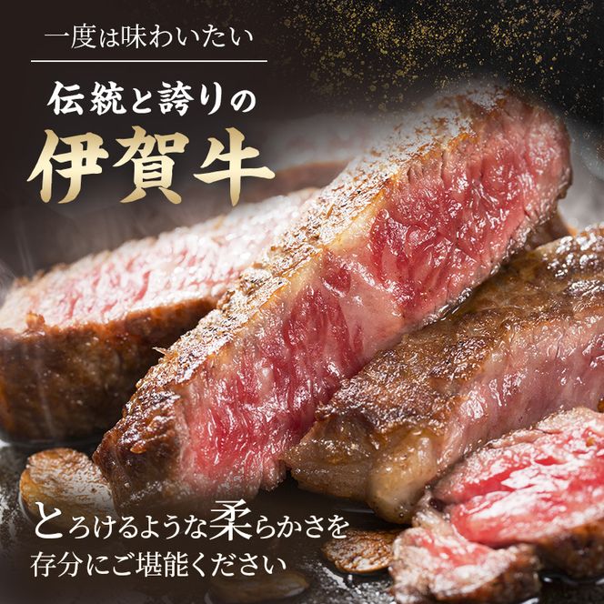 伊賀忍者ビーフヒレステーキコース・2-ひ