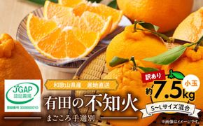 ZE6108n_有田の不知火(しらぬひ) 【訳あり　家庭用】7.5kg 小玉（ S～Lサイズ混合）まごころ手選別