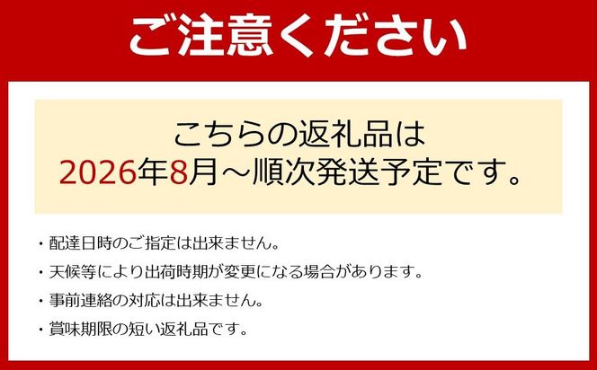 ［先行予約］[新鮮・産直]和歌山有田産のたねなし巨峰約1kg★2026年8月上旬頃より順次発送 BZ137