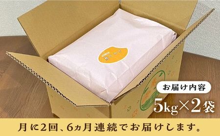 【月2回お届け】【全12回定期便】いとし米 厳選ひのひかり 10kg 6ヶ月コース(糸島産) 糸島市 / 三島商店[AIM058] 白米米 白米お米 白米ご飯 白米ひのひかり 白米ヒノヒカリ 白米九州 白米福岡 白米5キロ 白米ギフト 白米贈り物 白米贈答 白米お祝い 白米お返し 白米定期便