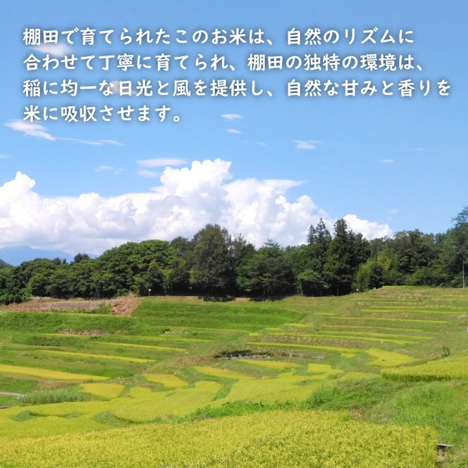 健幸農園の棚田米 5kg 白米