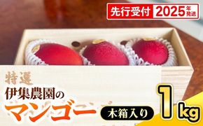 【木箱入】【先行受付・2025年発送】伊集農園 沖縄県産マンゴー（贈答用木箱）約1kg