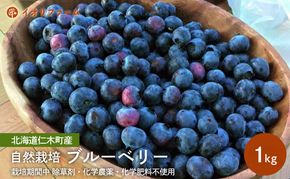 [先行受付]北海道 仁木町産 ブルーベリー1kg 栽培期間中 除草剤・化学農薬・化学肥料不使用【日付指定不可】果物 くだもの フルーツ フレッシュ [iori farm]