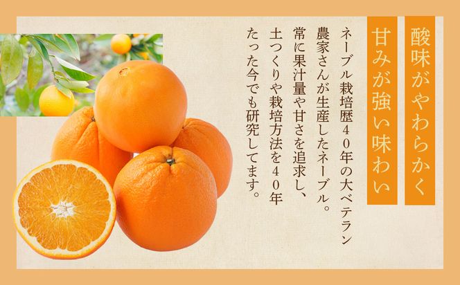 [先行予約] 和歌山県産ネーブル 約4kg　大玉（8個～9個）秀品 こだわり農家厳選 ［KG35］ 303446_XM90035