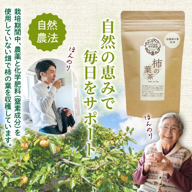 国東産「柿の葉茶」ティーバッグ 3g×10包入り×3袋(合計30包)_1920R