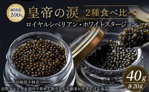 【純国産キャビア】皇帝の涙2種食べ比べ 計40g（ロイヤルシベリアン・ホワイトスタージョン）国産 チョウザメ キャビア 食べ比べ