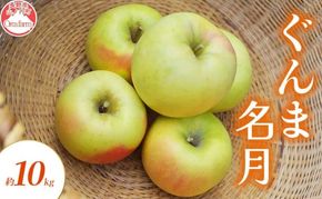 【2026年10月～発送】りんご ぐんま名月 約 10kg フルーツ 果物 黄色 秋 旬の果物 旬のフルーツ 長野県産