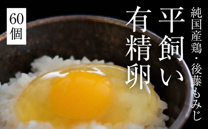 平飼い有精卵 60個《西粟倉村》【株式会社点々】t-SS-ApDA