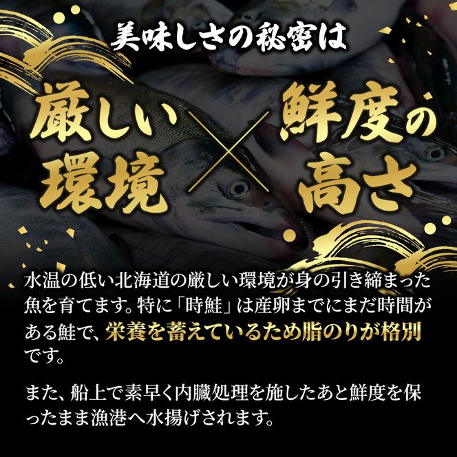 北海道産 時鮭 半身 500g～550g 鮭 さけ シャケ 魚 甘塩 冷凍 半身加工 旬 
