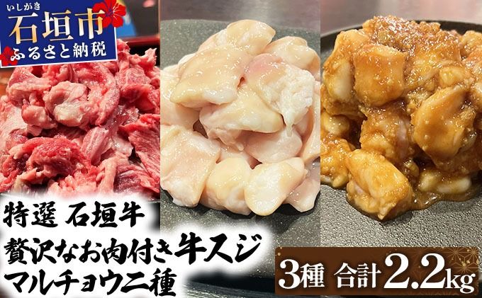 特選石垣牛の牛スジとマルチョウ、秘伝の味噌味をご家庭で!!牛スジ500g×2、マルチョウ300g×2、味噌味マルチョウ300g×2の大満足のよくばりセット