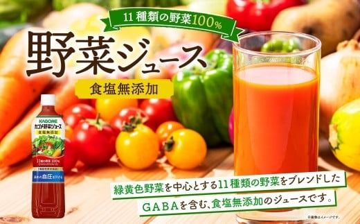 ns038-025　定期便 3ヵ月毎全4回 カゴメ トマトジュース ＆ 野菜ジュース 食塩無添加 スマートPET 720ml 2種 各6本 計12本 トマト 野菜 100％ ジュース 機能性表示食品 食塩不使用 飲料 ドリンク ペットボトル GABA 血圧 コレステロール KAGOME 送料無料 那須塩原市