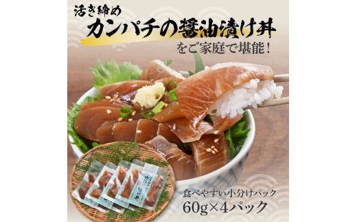 活き締めカンパチの醤油漬け丼（4P）セット【企業組合　宇佐もん工房】 [BQAB050]