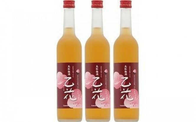 【お歳暮用】453.梅酒　乙花（おとか）３本セット【12月上旬以降お届け】 313726_AC042
