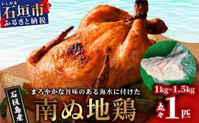 石垣島 南ぬ地鶏(海水付け) まるまる1匹分（1kg～1.5kg）ローストチキン イベント お祝い パーティ 肉 鶏肉 鳥肉 地鶏 精肉 UF-12