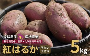 【産地直送】紅はるか（淡路島産）土付き　約5kg　不揃い【栽培期間中、農薬・化学肥料不使用】 さつまいも