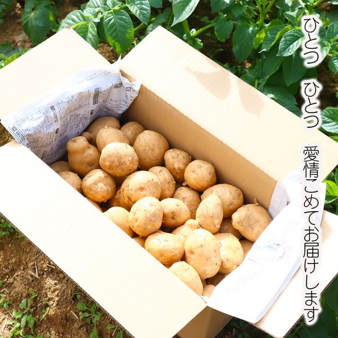 【訳あり】じゃがいも10kg（デジマ）