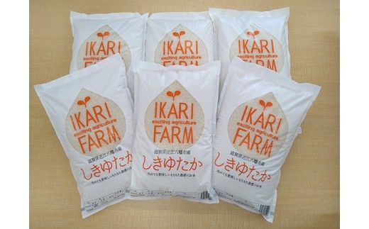 【新米　先行予約】令和8年産すっごいもちもち「しきゆたか」白米定期便　6カ月で5kgを6回お届け（1カ月に1回）【C075W】
