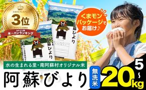 無洗米 訳あり 選べる 5kg 10kg  15kg  20kg 熊本県産 阿蘇びより《7-14日以内に出荷予定(土日祝除く)》 お米 コメ こめ 国産 熊本県 南阿蘇村 阿蘇 びより---mna_aby_r7_m_5kg_14500_wx---