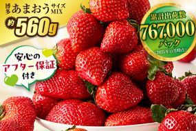 【アフター保証】 JAよりお届け！「博多あまおう」約280g×2パック【JAほたるの里】_HA1937