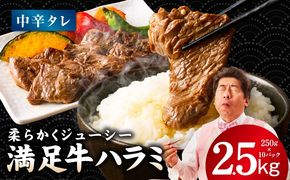 G3410 【満足牛ハラミ】中辛タレ漬け 合計2.5kg 【味付け ハラミ 小分け 焼くだけ 簡単調理 BBQ 牛肉 250g×10P】