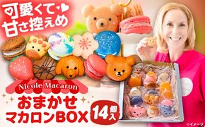 おまかせ マカロン ボックス 14個入 マカロン 焼菓子 スイーツ 愛西市 / ニコールマカロン[AEDA002]